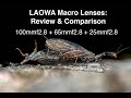 Laowa Macro Lenses Review/Comparison (100mm/65mm/25mm)