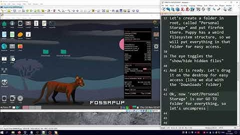 Puppy Linux Fossapup Firefox Installation - With functioning audio!