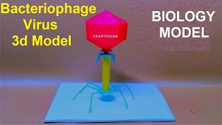 Bacteriophage virus model 3d making | diy |  biology model making | craftpiller  | still model