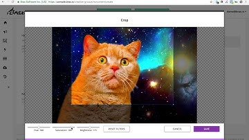Revcontent Tutorial - Manage & Optimize Campaigns Fast - Part 2