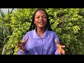 Miss Environment Contest Mngo Willing Neneh Video