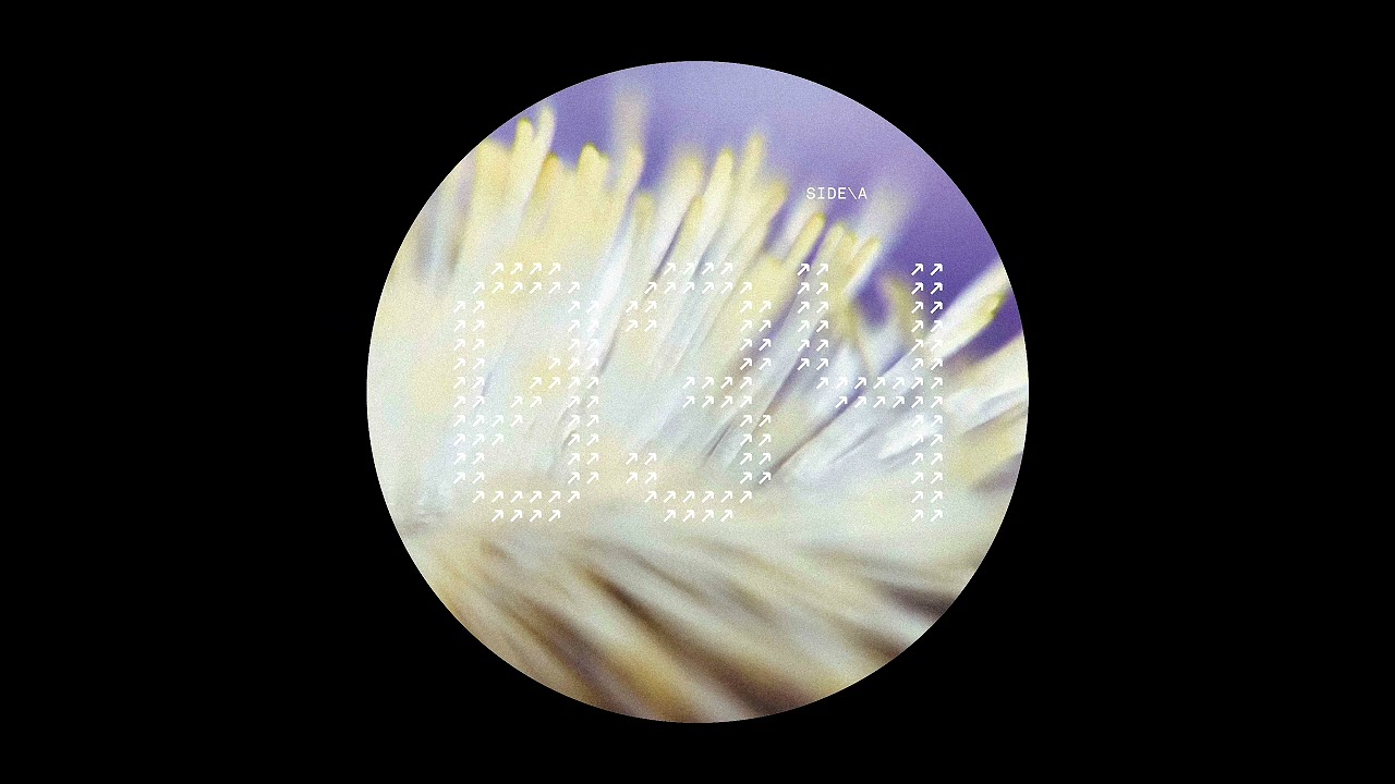 Dimi Angelis - Sonic Dreams