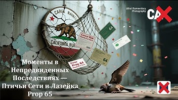 Замечательные Моменты в Непредвиденных Последствиях — Птичьи Сети и Лазейка Prop 65🧩