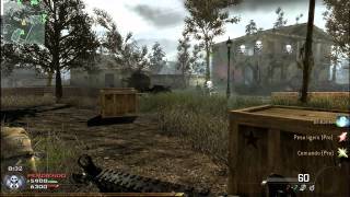Call Of Duty Modern Warfare 2 en ATI Mobility Radeon HD 5470 512MB