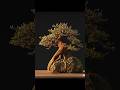 Premna Liar Jadi Elegan. #bonsai #premna #bonsaipemula #bonsaipremna #shorts