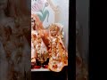 namo namo Shankara Bholenath Shankara Shankar Ji song #music #song #bhajans