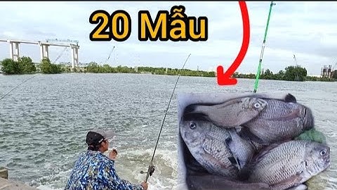 Câu Cá Tráp Ngày Cuối Nước || Câu Đêm với Cần Thủ Nữ/ Câu Đùng Mỹ Xuân Tân Thành BRVT