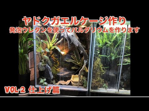 Download 自作パルダリウムケージで立ち上げ Download 自作パルダリウムケージで立ち上げ