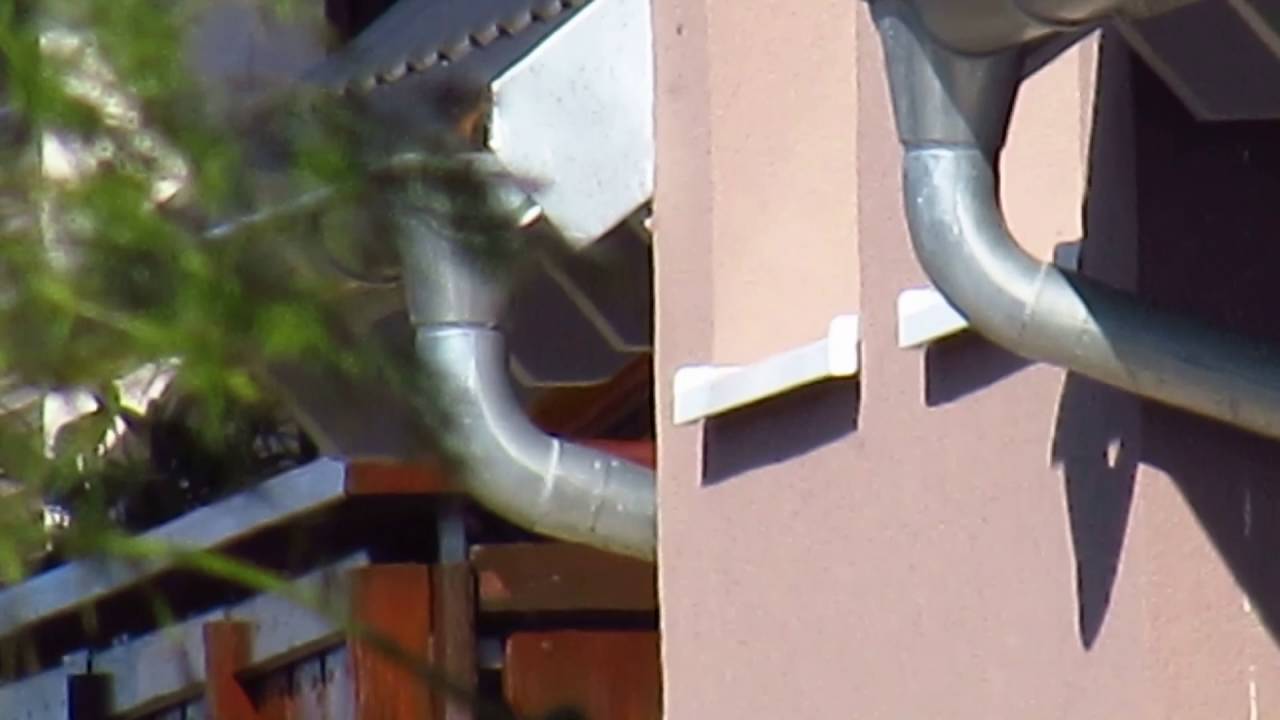 Canon SX530 HS Zoom test video #2