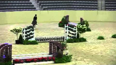 Video of FALLYN BELCASTRO ridden by FALLYN BELCAST...