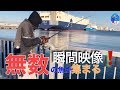 【釣り】宮城は仙台のスリーMパークがとんでもないことにっ！魚が勢いよく餌に食ってきた！瞬間映像！
