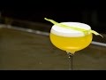How To Make The Double Gin Cocktail How To Make The Double Gin Cocktail