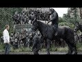 猿が賢くなり、人類に攻撃する。 ≪猿の惑星：創世記≫　【ファスト映画】