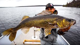 Fly-In Fishing For BIG Canadian Walleye!