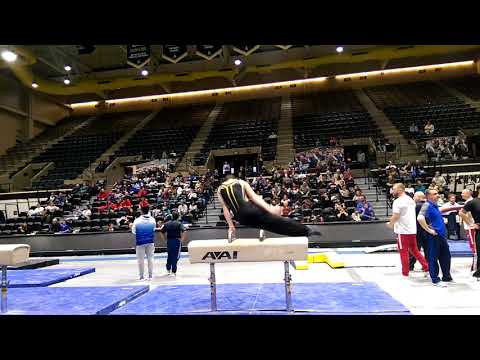 Virtual Stars Championships - Bright Raven Gymnastics - Jack D'Ambrosia - L10 PH