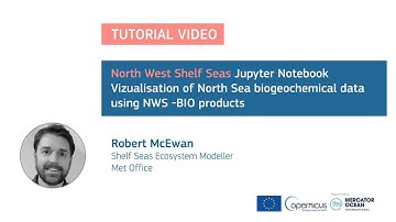 Jupyter Tutorial - NWS Seas - Biogeochemical Model products - North Sea currents visualization.