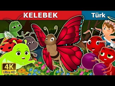 Kelebek | The Butterfly Story in Turkish |  Turkish Fairy Tales