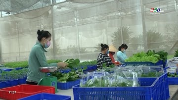 Huyện Xuyên Mộc có thêm 9 sản phẩm đạt tiêu chuẩn OCOP 3-4 sao cấp tỉnh | BRTgo