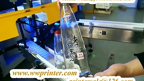 Made in China Auto Full Servo Screen Printer for Container  Decoration CNC06
