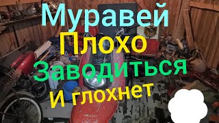 Муравей заводиться и глохнет не держит холостые