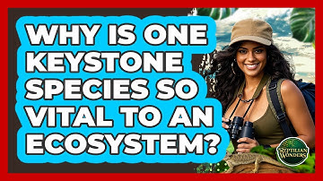 Why Is One Keystone Species So Vital To An Ecosystem? - Reptilian Wonders