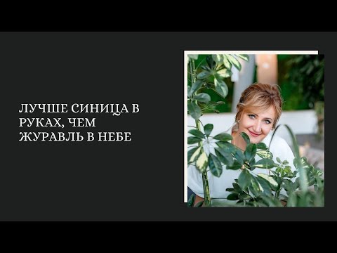 Лучше синица в руках, чем журавль в небе