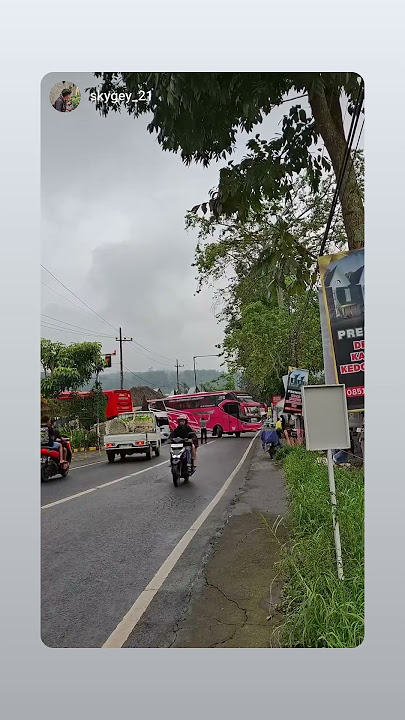 Belok Manis Pink Kimberlly | Bus Pariwisata Satria Timur Trans | Gulo Balap | 082244492345