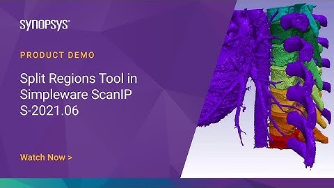 Split Regions Tool in Simpleware ScanIP S-2021.06 | Synopsys