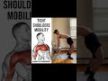 Shoulder Mobility Stretch