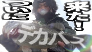 バス釣り　上級者アドバイスを聞くと釣れる！！