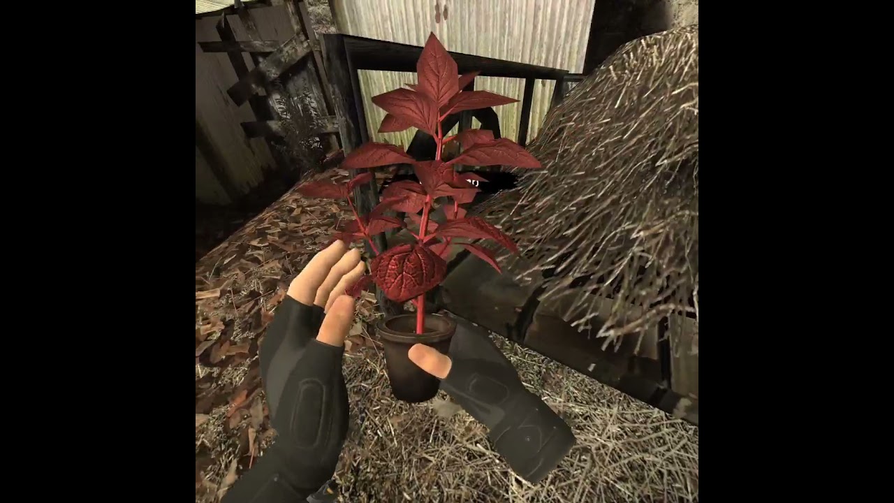 when you finally find that sweet red herb