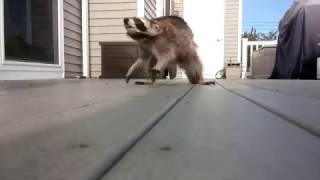 Download Lagu Rules of Nature MP3