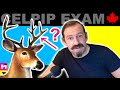 CELPIP - How to Describe Animals