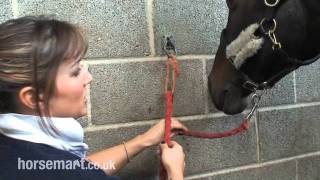 How to tie up a horse