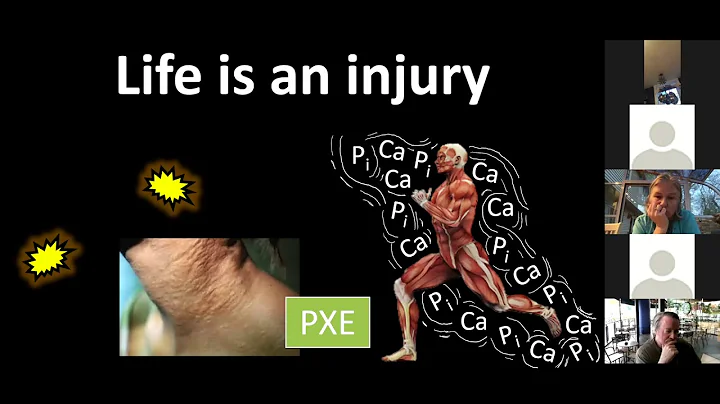 The Delight and Villainy of Biomineralizatio...  P...