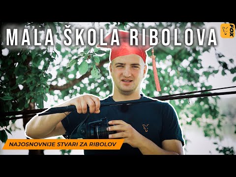 Video: Koji su glavni dijelovi riječnog sistema?