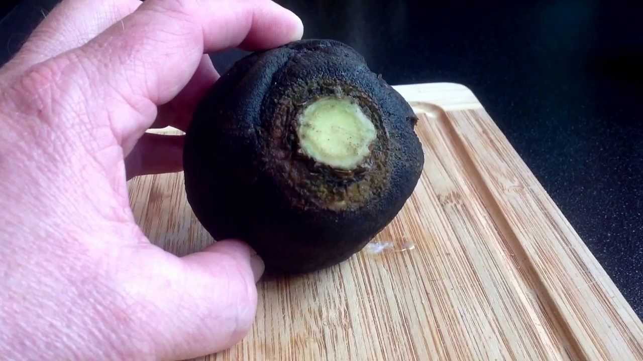Hustensaft aus schwarzem Rettich , Rezept Tutorial , Recipe - YouTube