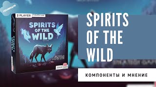Spirits of the Wild. Один из моих любимых филлеров для двоих. Обзор и мнение за 10 минут. 4K