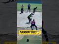 Fast Bowler ko Cover Drive 😲 Fielder ki Super Dive se Boundary Bach Gayi | #cricket #feedshorts #yt