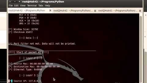 [Python] PakCap42.py v1.0 - Raw Socket Packet Capture