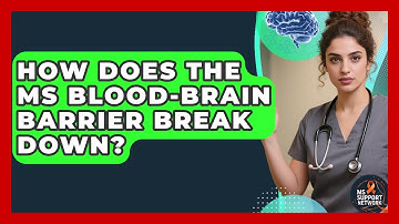 How Does The MS Blood-brain Barrier Break Down? - MS Support Network