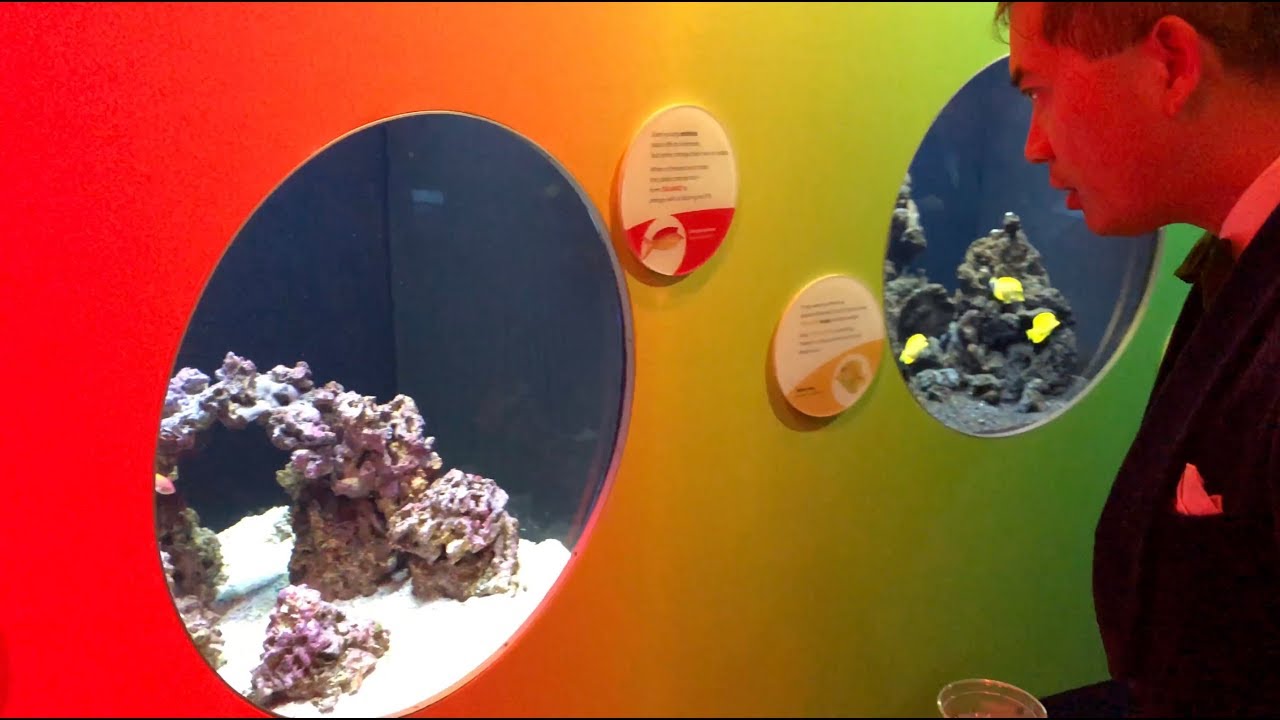 Shedd Aquarium 2018 Gala