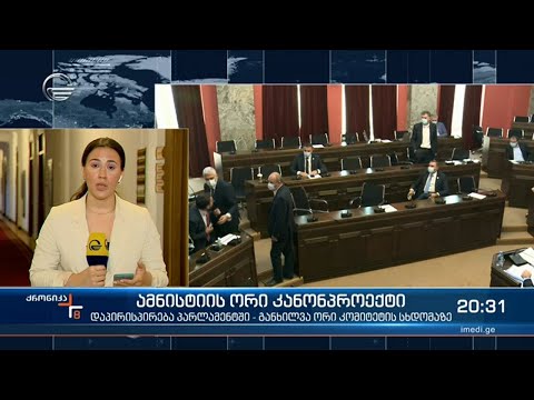 ამნისტიის ორი კანონპროექტი