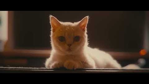 The Cleanest Mac/PC Hybrid Desk Setup You