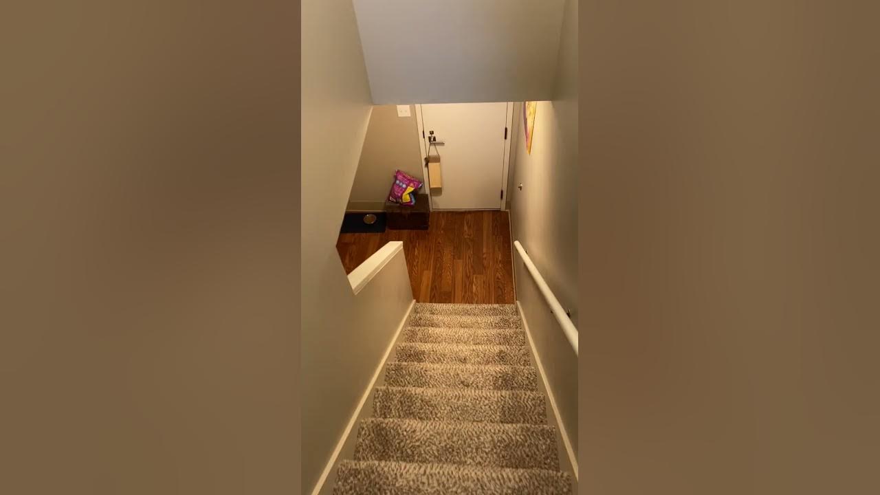 Apartment 1601 YouTube