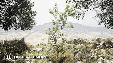 Tree Growth Sequence UE5 4K