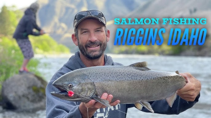 Salmon River Winter Steelhead 