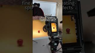How Different Light Modifiers Change Your Shot