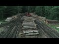 Витебский лесхоз | Презентационный фильм