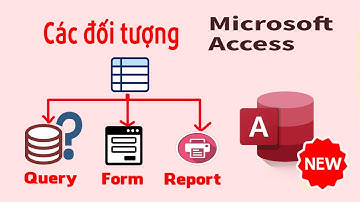 Các đối tượng cần nghiên cứu trong Access | NT Software
